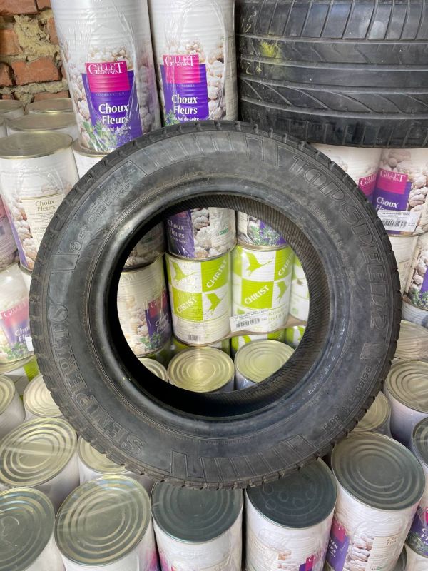 Sepmperit 195/60 r14 