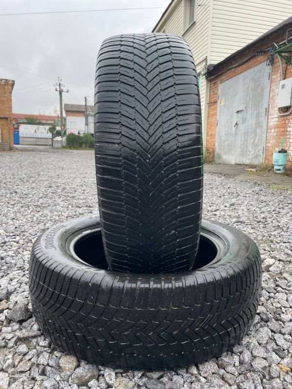 Шини пара Bridgestone 225/60 r18 зима Гума