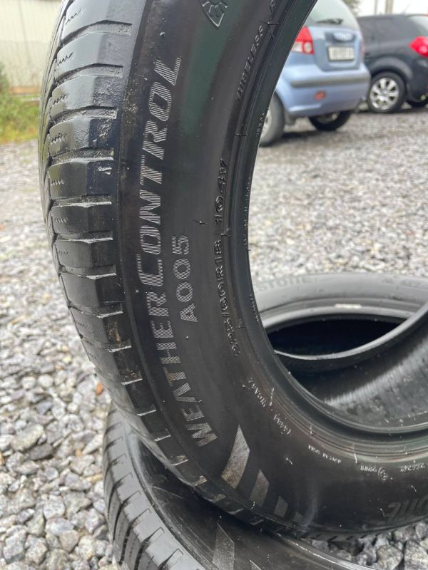 Шини пара Bridgestone 225/60 r18 зима Гума
