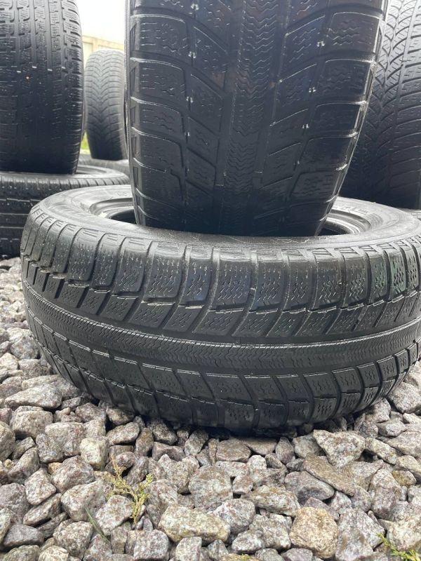 Шини пара Michelin 225/55 r16 зима Гума