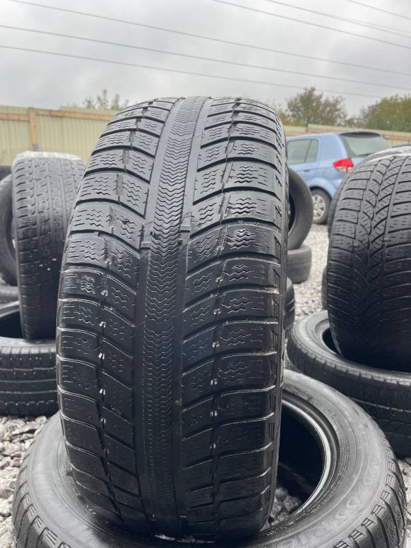 Шини пара Michelin 225/55 r16 зима Гума