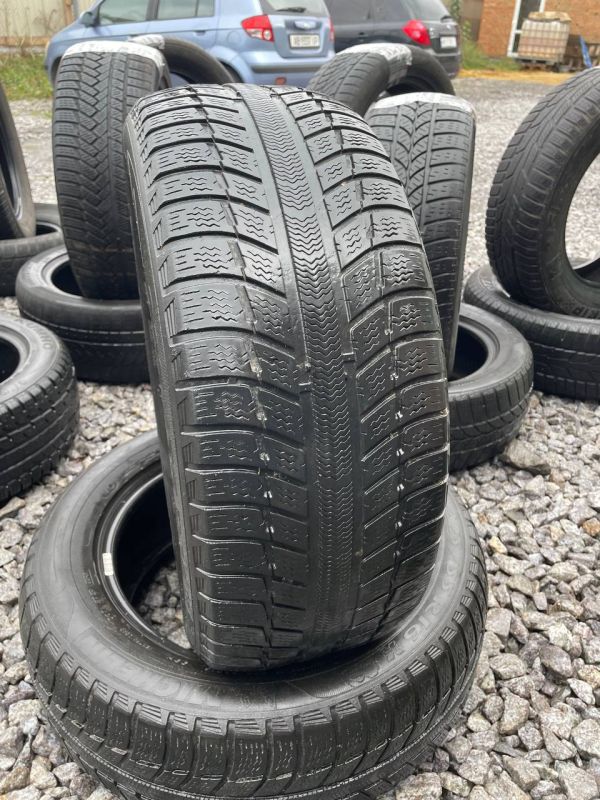 Шини пара Michelin 225/55 r16 зима Гума