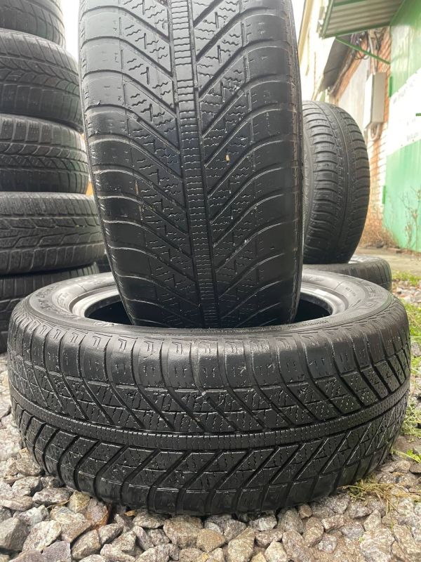 Шини пара Goodyear 205/55 r16 зима Гума