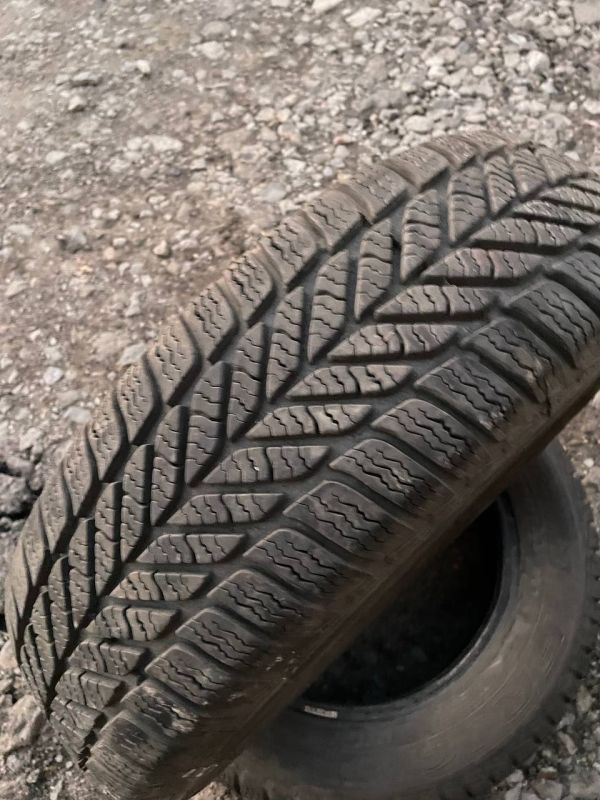 Шини пара Debica Frigo 185/65 r15 зима Гума