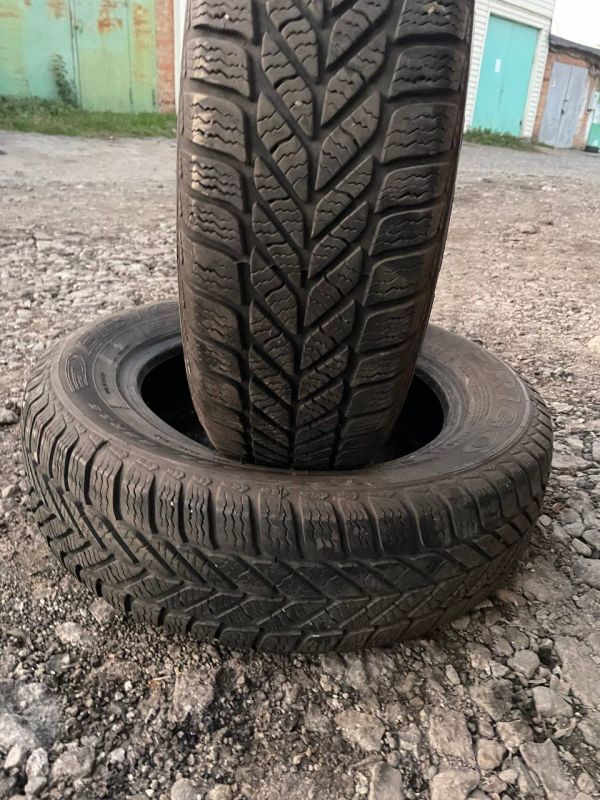 Шини пара Debica Frigo 185/65 r15 зима Гума