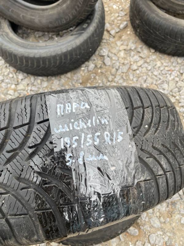 Шини пара Michelin 195/55 r15 зима Гума