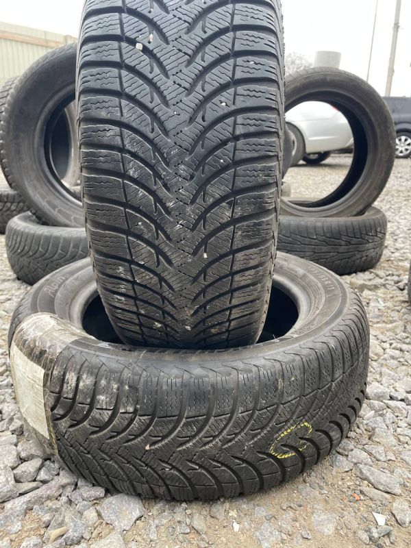 Шини пара Michelin 195/55 r15 зима Гума