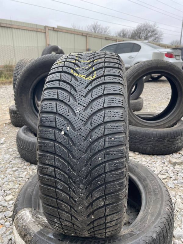 Шини пара Michelin 195/55 r15 зима Гума