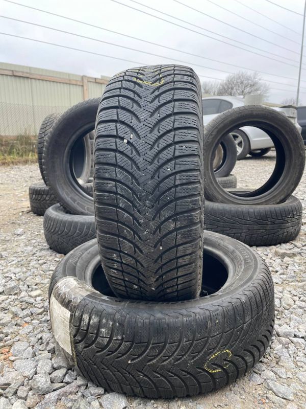 Шини пара Michelin 195/55 r15 зима Гума
