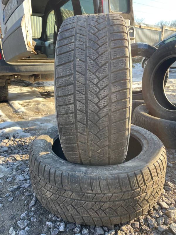 Шини пара Profil 225/45 r17 зима Гума