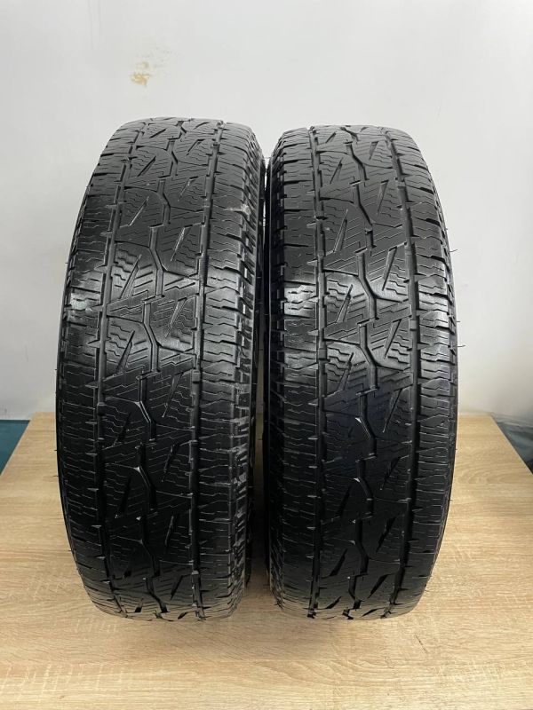 Шини пара Bridgestone 195/80 r15 літо Гума
