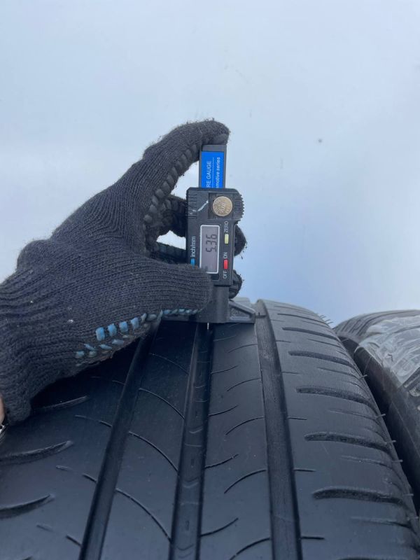 Шини пара Michelin 195/55 r16 літо резина