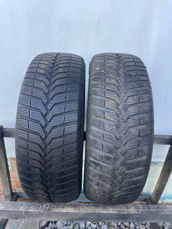 Шини пара Vredestein 185/65 r14 зима резина
