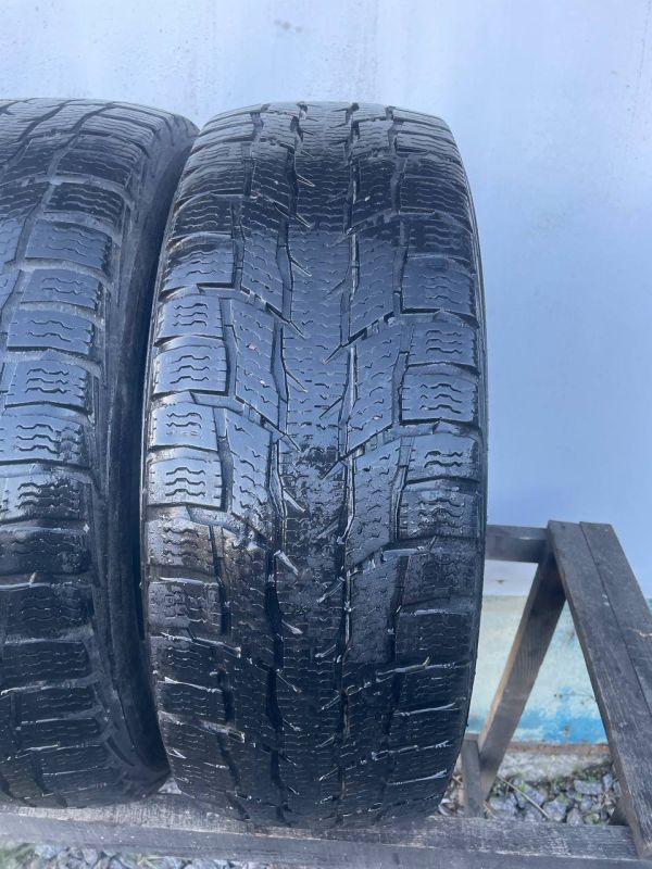 Шини пара Nokian 225/65 r16c зима резина