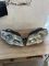 Фара передня ліва права Volkswagen Passat B6 пасат б6 3C0941005S