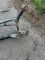 Задній підрамник Volkswagen Passat B6 3C0505235N
